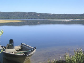 Fishing Report - Lake Davis